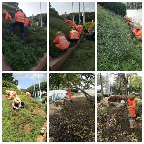 今日绿林整治工作实实在在看得见，顺利完成各项指标性任务需求。2020.4.19