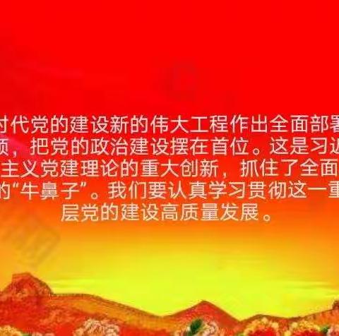 从党的十九大报告中领会思想，推进基层党建高质量发展