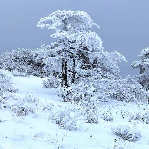 秦岭东梁P型穿越赏雪