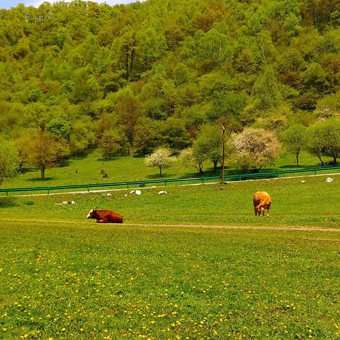游大水川 赏阿尔卑斯风光