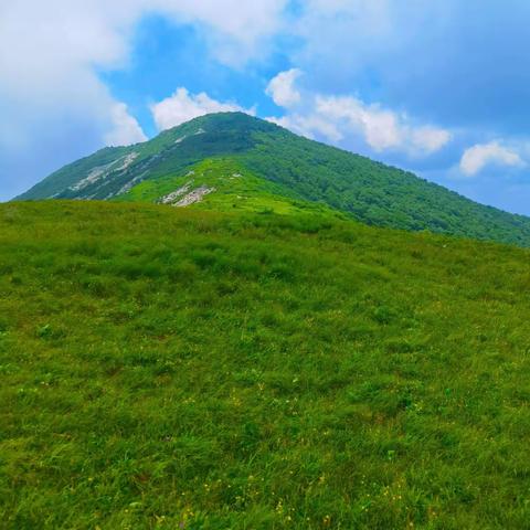 神奇险幽草链岭