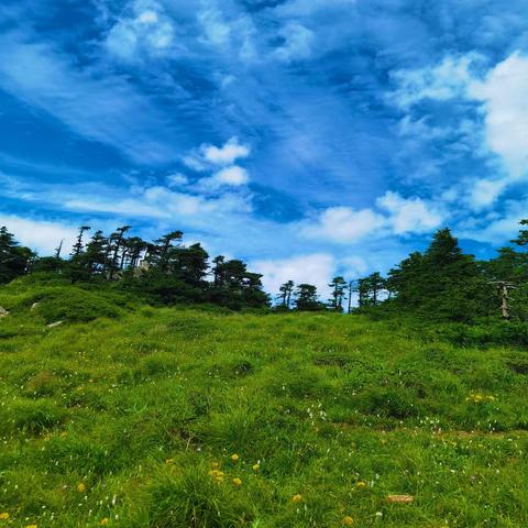 登山走过四季 尽享秦岭风光