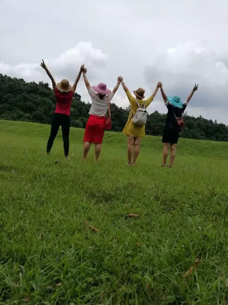 我们结伴同行，邂逅美好的时光……