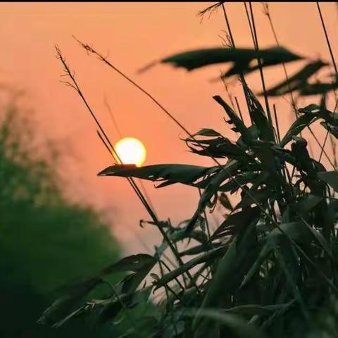 躺平假期