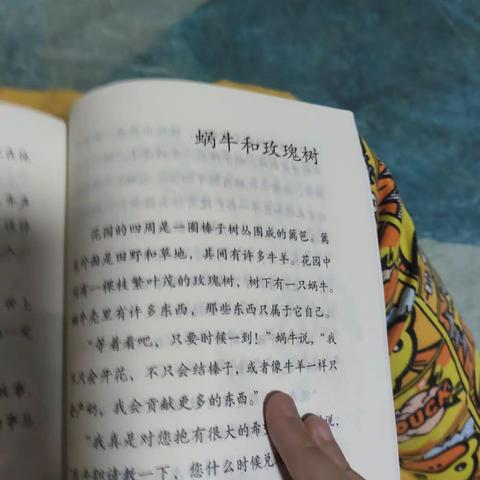 我是语文阅读小达人，海口市第27小学3（11）班张垲峰——（13星）