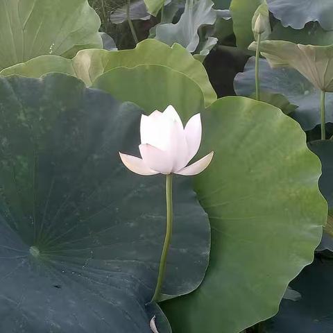 人生路处处皆风景，把握好每一个瞬间。