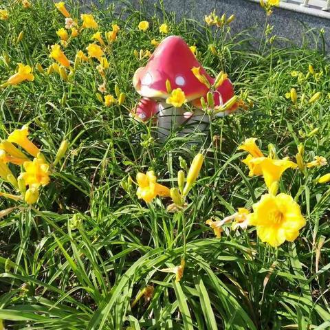 花儿朵朵 ——任丘市白塔小学2018年庆六一文艺演出掠影