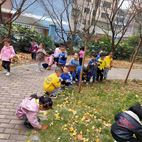 海洋之星🍀小一班🍀第十二周🍀美篇