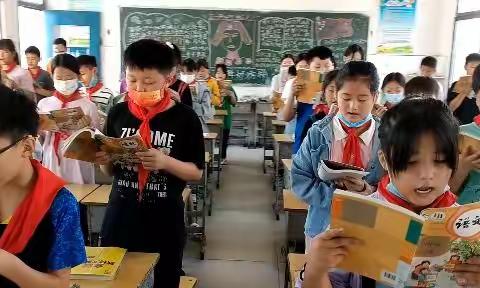 我们的新集体