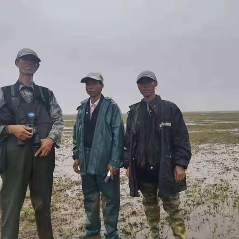 康山巡护队2021年12月份巡护总结