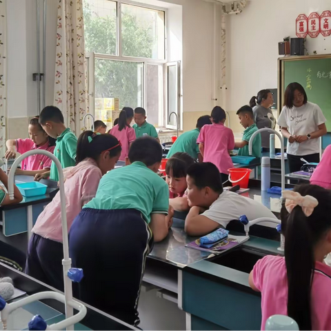 聚焦核心素养 深化课堂活动