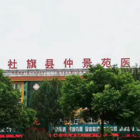 《迎重阳树敬老传递爱》——中国红色先锋队南阳市志愿者团队 赊店镇兴隆社区党支部 社旗县仲景苑医院