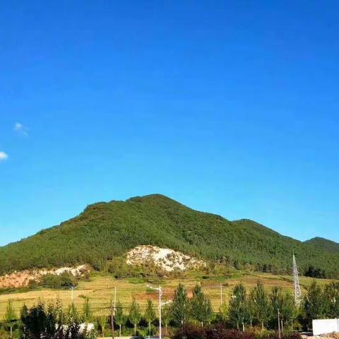 可爱的同学们，可爱的诗