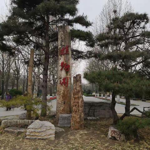 清明节时的植物园