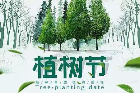 马村区实验学校植树节爱绿护绿活动
