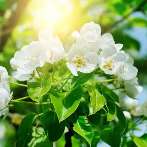 兖州一中情绪中转站活动