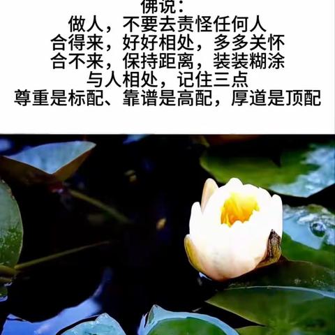 睿智的火花