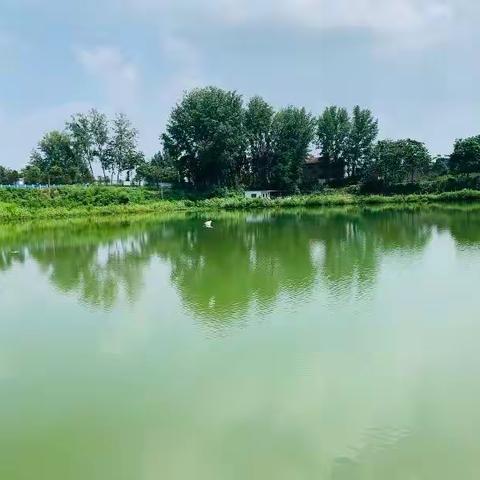 中华文明探源工程（新郑卷）走潩水·后高庄（2022年8月5日)17/2022(总第17期)