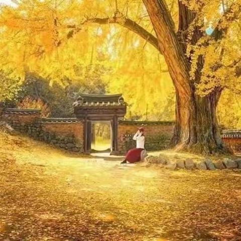 中华文明探源工程（新郑卷）走潩水·前小庄村（2022年10月20日)29/2022(总第29期)