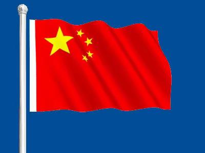 《我与国旗合个影》