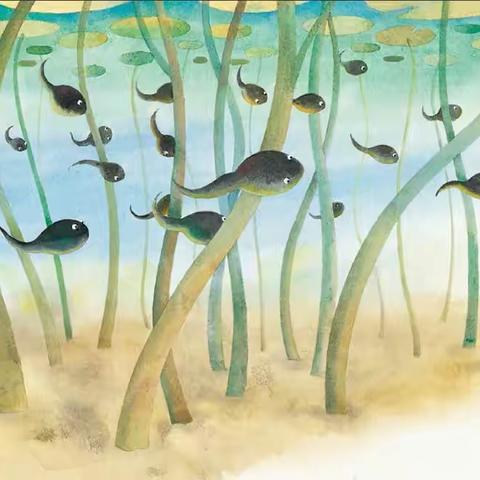 科学实验室—好奇鬼自然大发现之亲近蝌蚪，尊重生命
