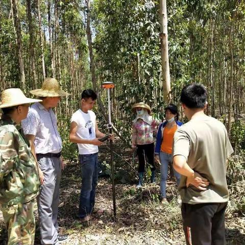 征地进行时——白马井镇党委政府以超常规的认识、举措和行动跑出滨海新区速度