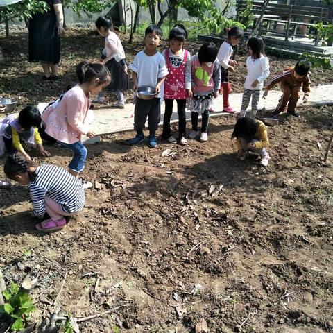 一周过去了，宝贝们的点点滴滴。