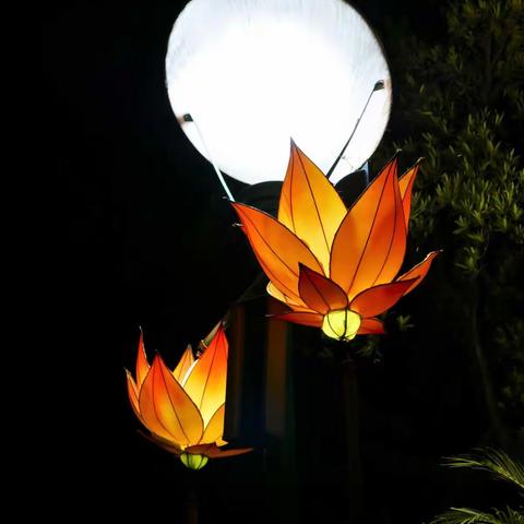 中秋夜  燈火闌珊 (2019.廣州雲臺花園）