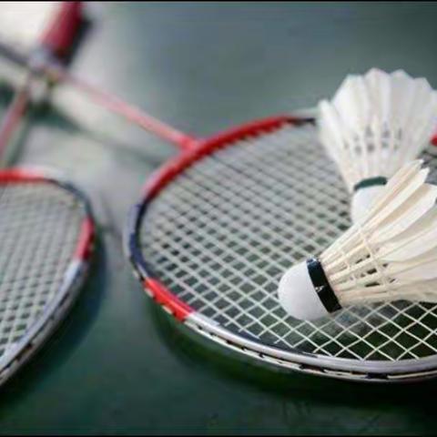 小小羽毛球，乐趣无尽头