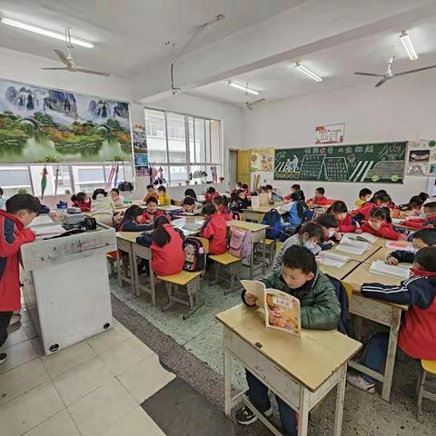 二5班午间阅读展示