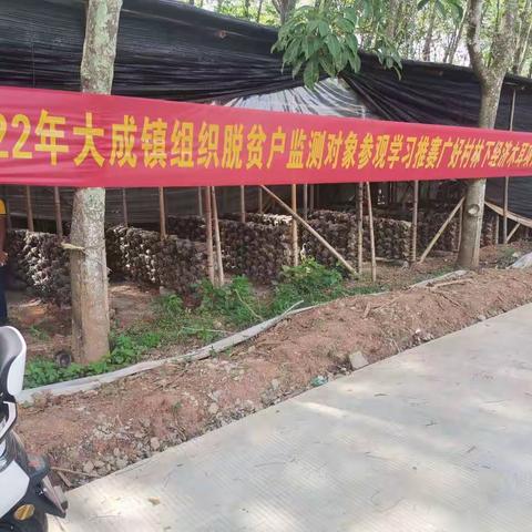 2022年6月12日下午午3：30分大成镇南乐村委会组织脱贫户、监测对象参观学习推赛广好村林下经济木耳项目基地