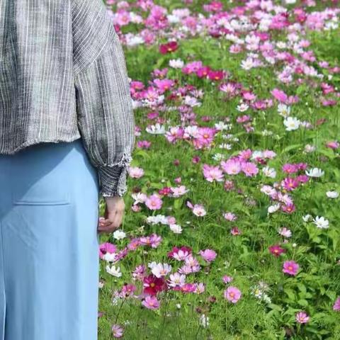 野花香处共松风