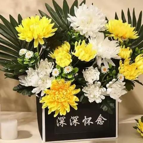 看望父亲
