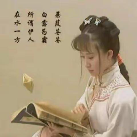 诗语一叶