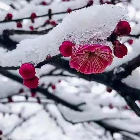 善待遇见