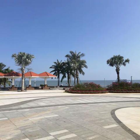 椰风海韵  假日海滩