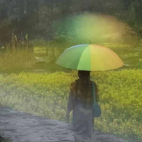 雨巷