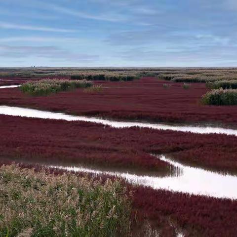 鹤鸣九皋声闻于天