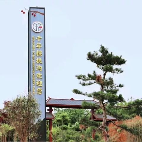 千年等待，樱为有你