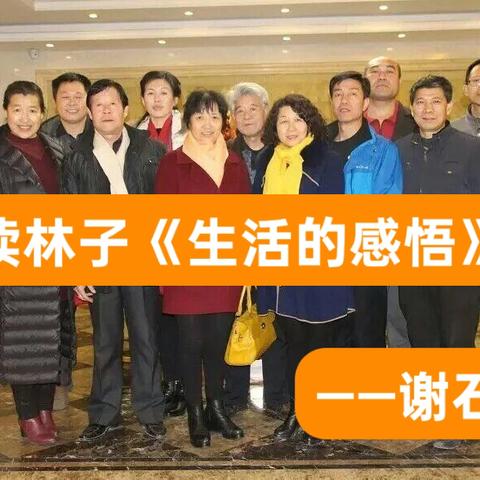 读林子《生活的感悟》