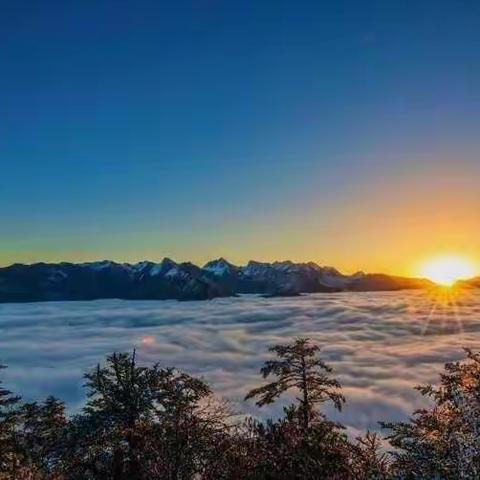 神仙玩耍地｜人间醉值得！