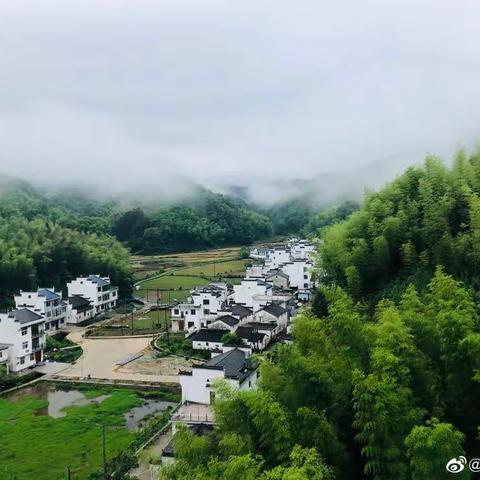 误入娴静｜万亩梯田油菜花海