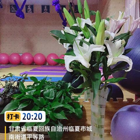 最近的模样