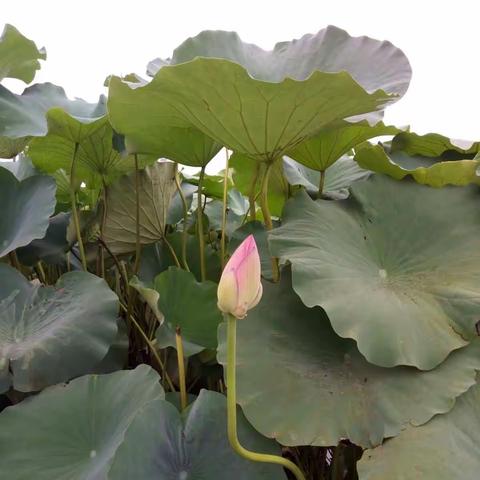 当妈的失败莫过于此