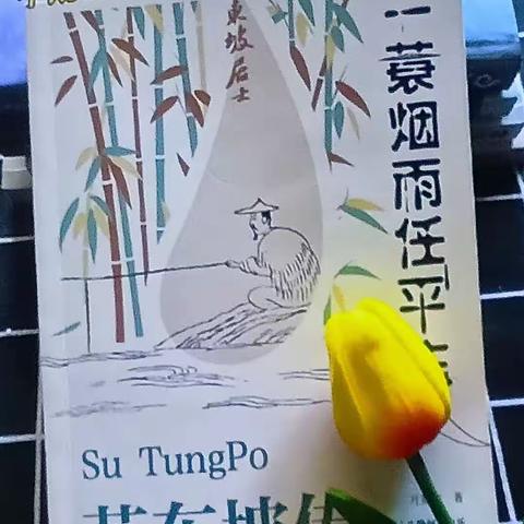 品旷世奇才，做智慧教师