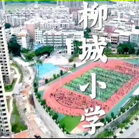 笃行致远共成长，遇见更好的自己—我的南安跟岗之旅