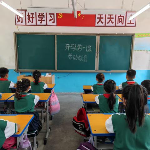 以劳树德，以劳育美—新华区团结路小学劳动教育主题班会