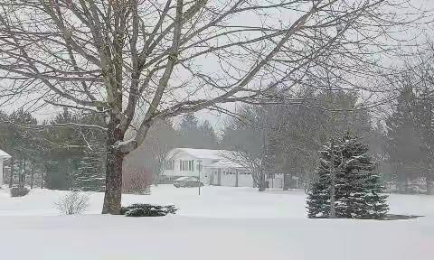 雪天读诗：《白雪歌送武判官归京》