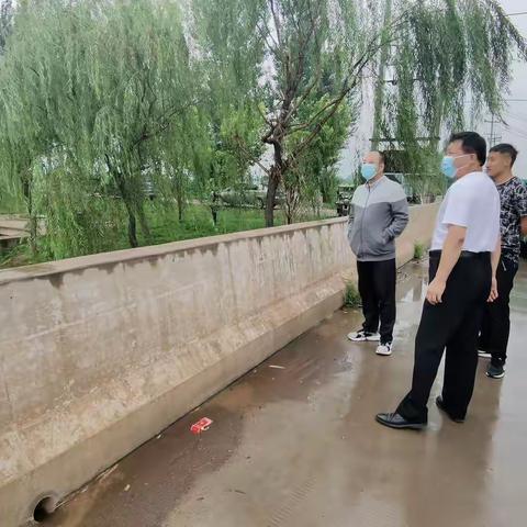 区防办主任温会相冒雨查看汛情