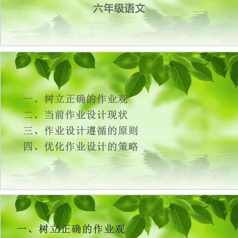 六年级 “双减”政策下的作业设计